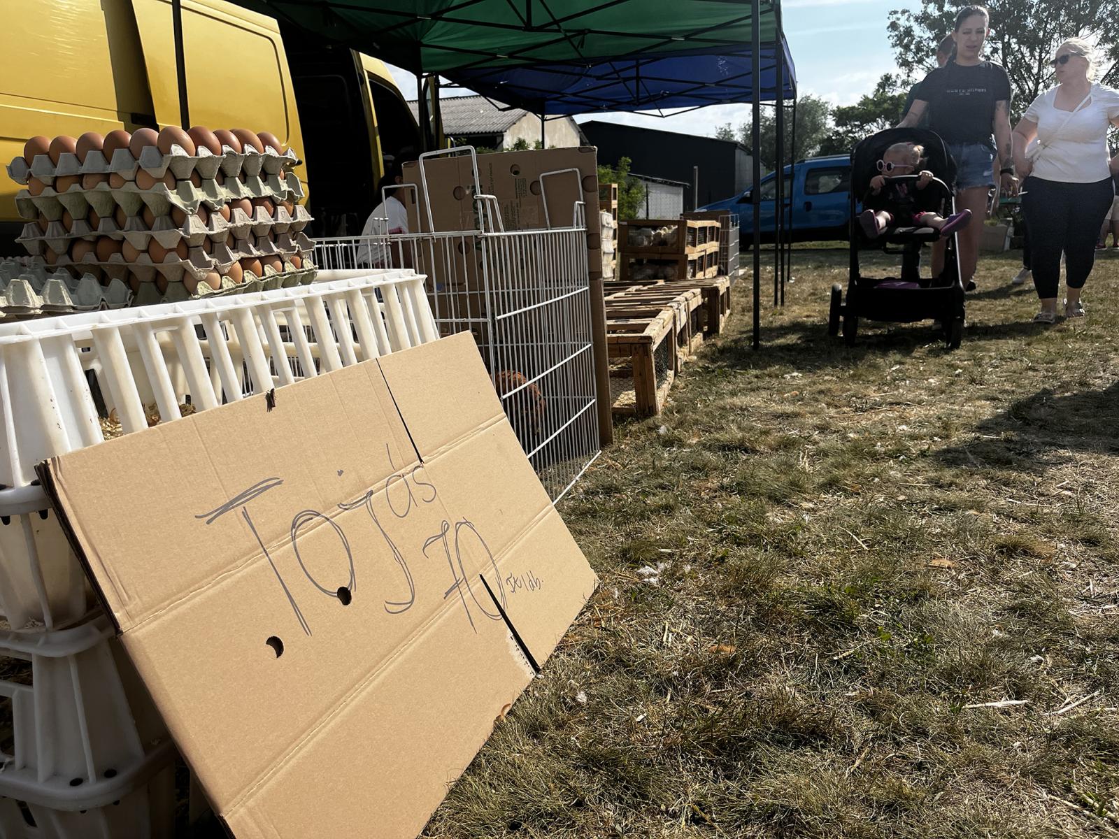 Jobb saját szemmel felmérni a kínálatot