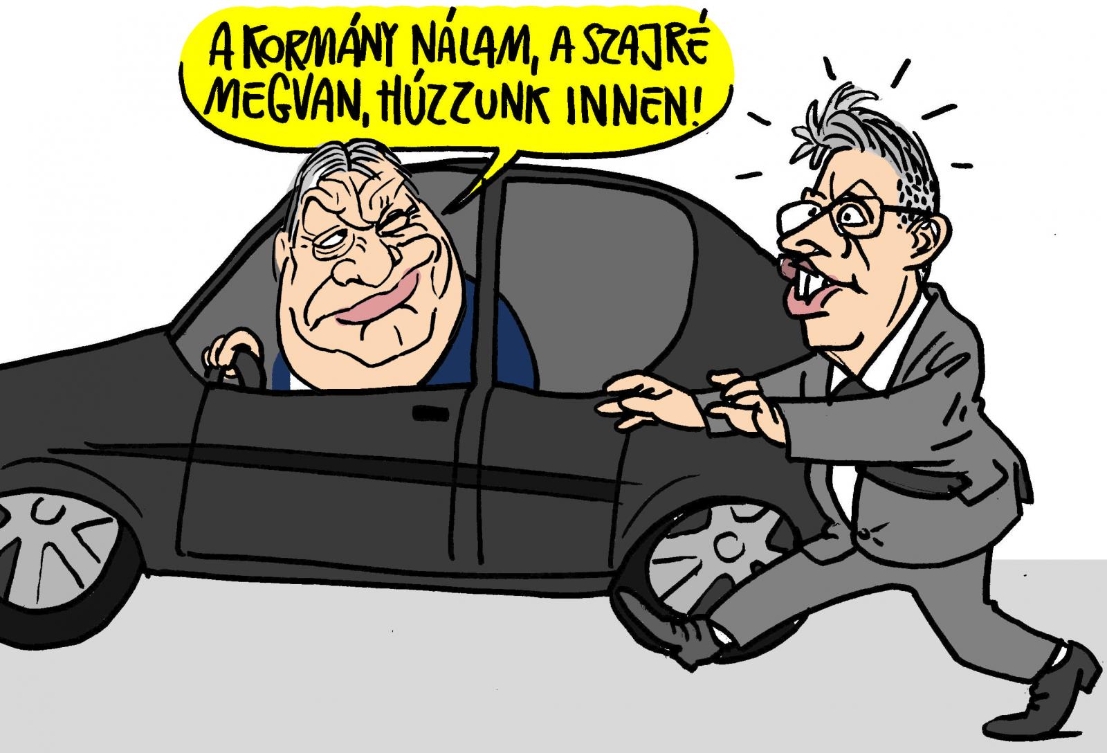 Kósa a Házban