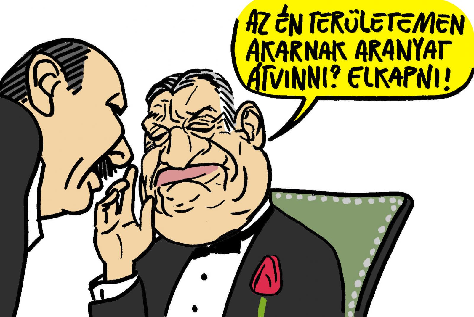 Kósa a Házban
