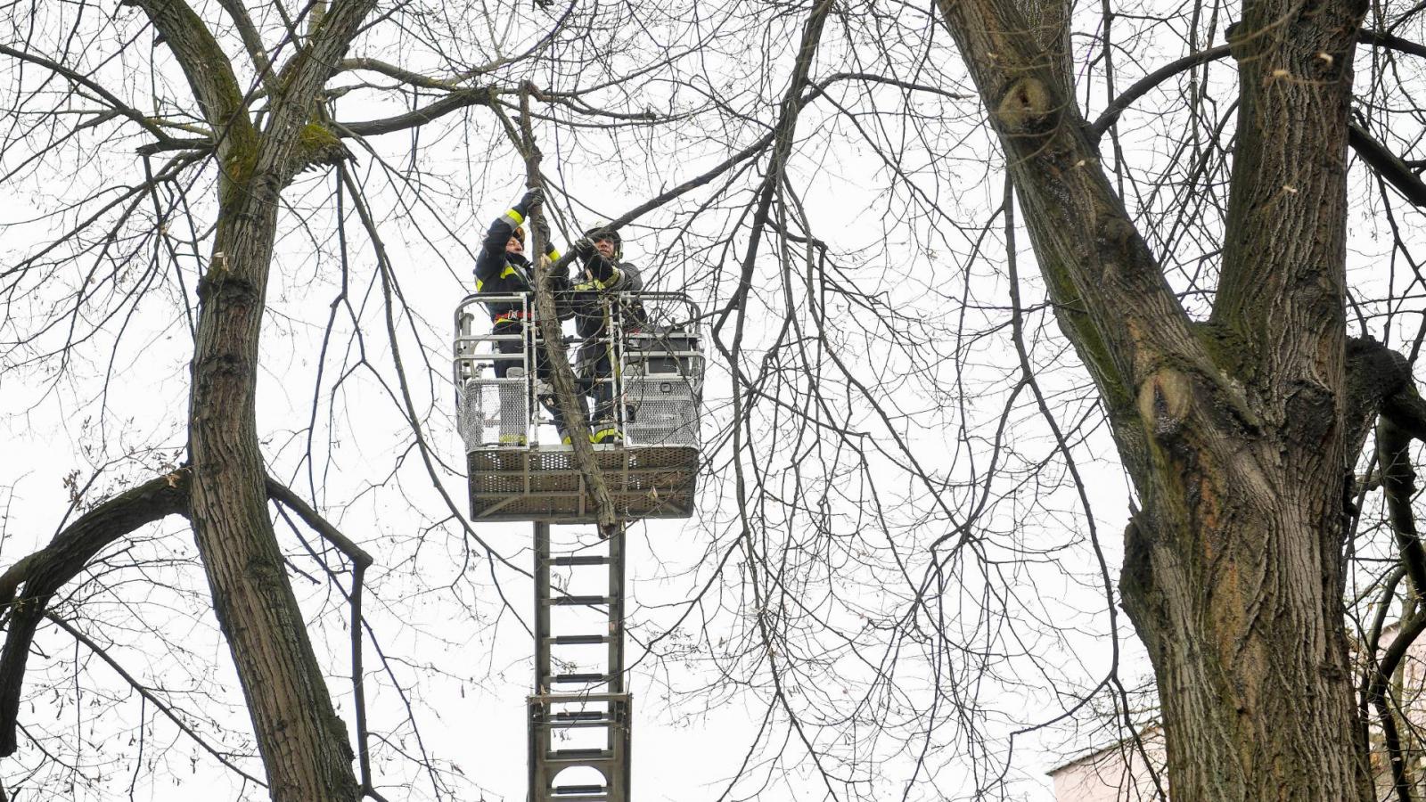 A viharos szél miatt leszakadt faágakat távolítanak el tűzoltók egy emelőkosaras járművel Debrecenben, a Kassai úton