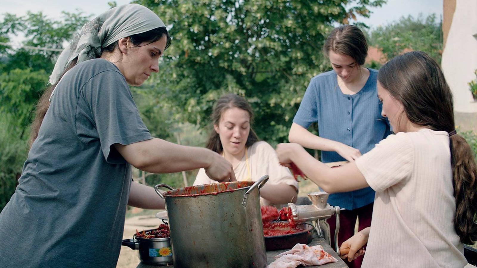 Blerta Basholli elsőfilmes rendező műve, a Méhkas (Hive)