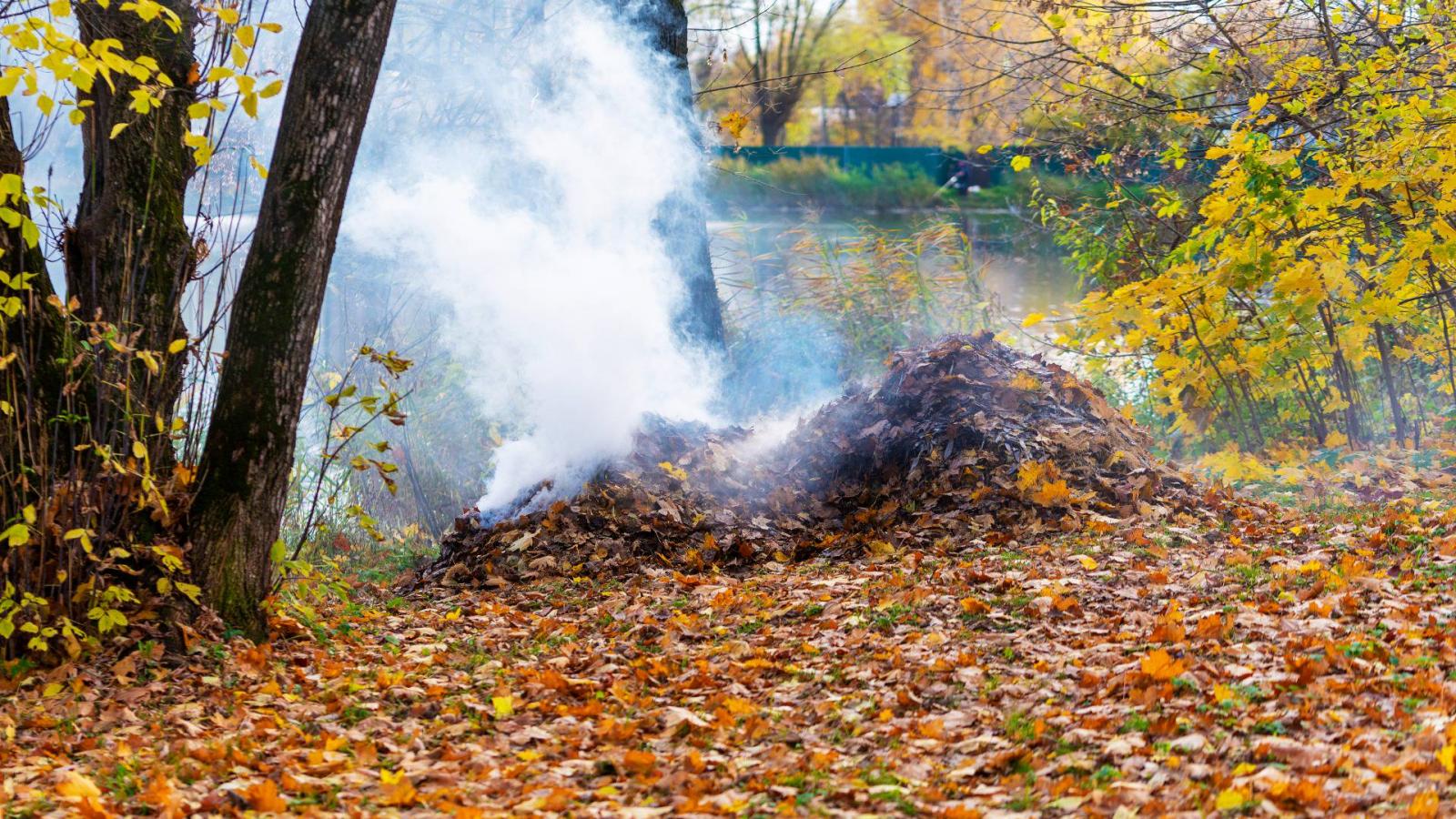 Smoke,From,Burning,Autumn,Leaves,In,The,Park.,Selective,Soft