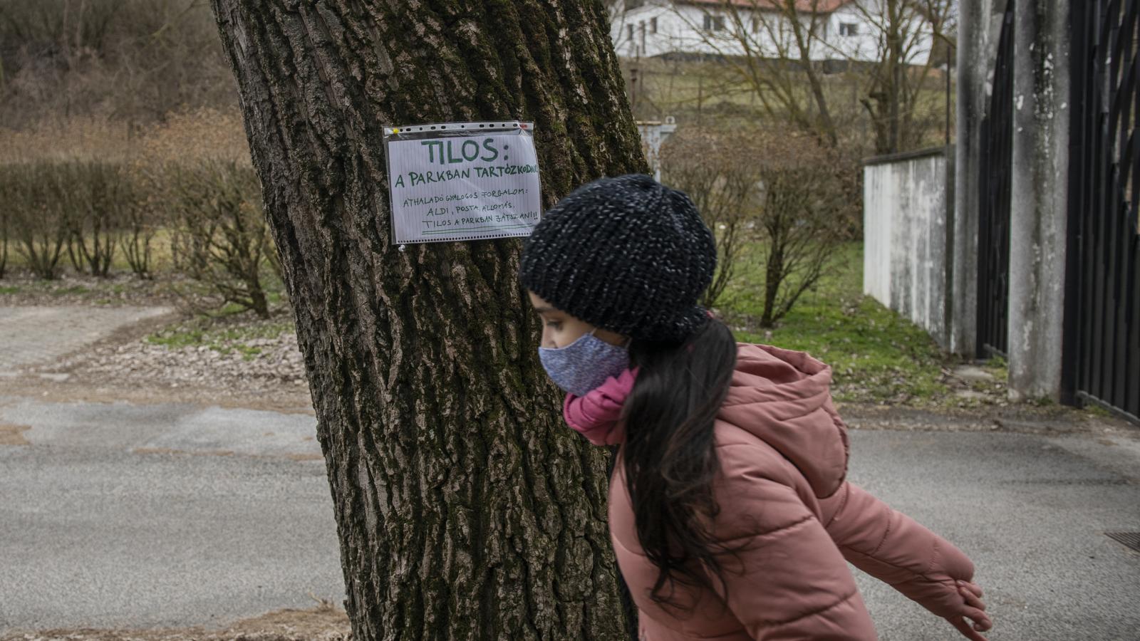 Képünk illusztráció. Piliscsabán egyetem már nincs, háború még van