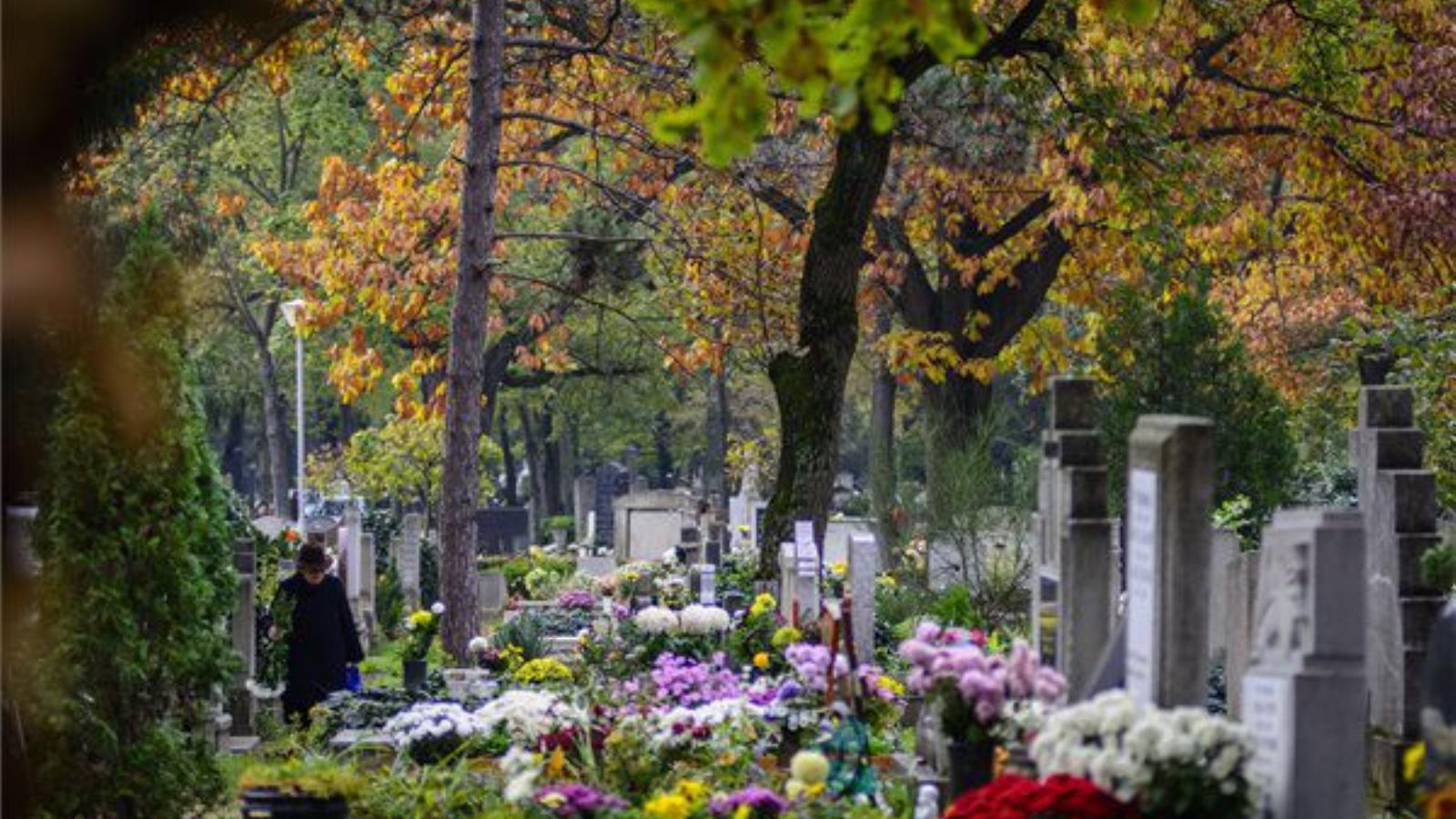 FOTÓ: MTI, Czeglédi Zsolt