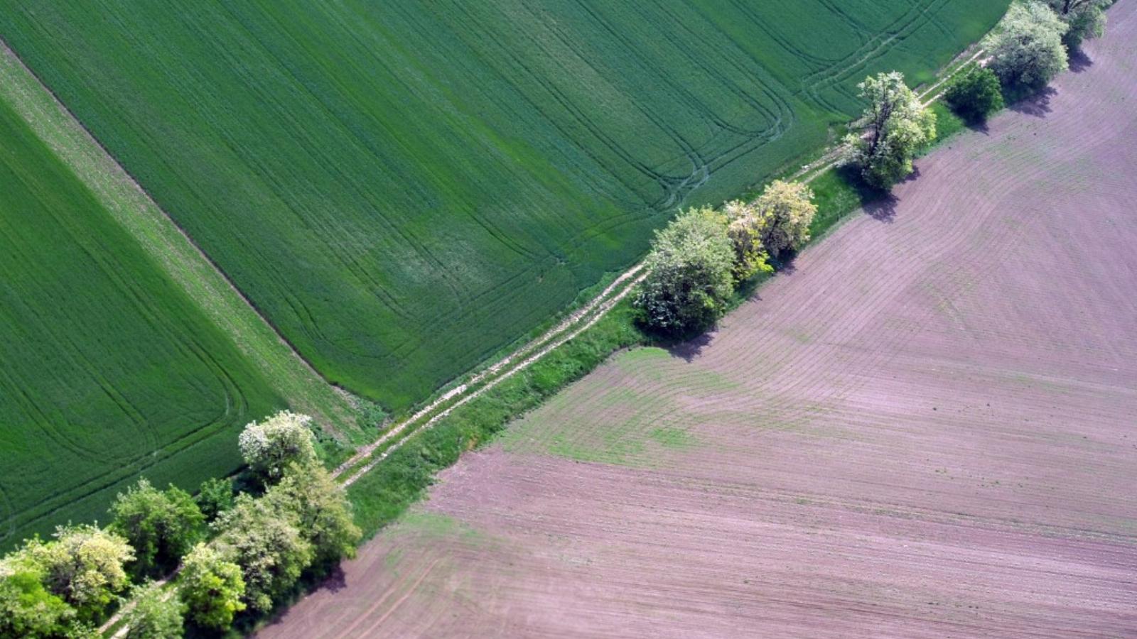 Fennáll a veszélye, hogy a termőföldet is megadóztatják az önkormányzatok FOTÓ: NÉPSZAVA