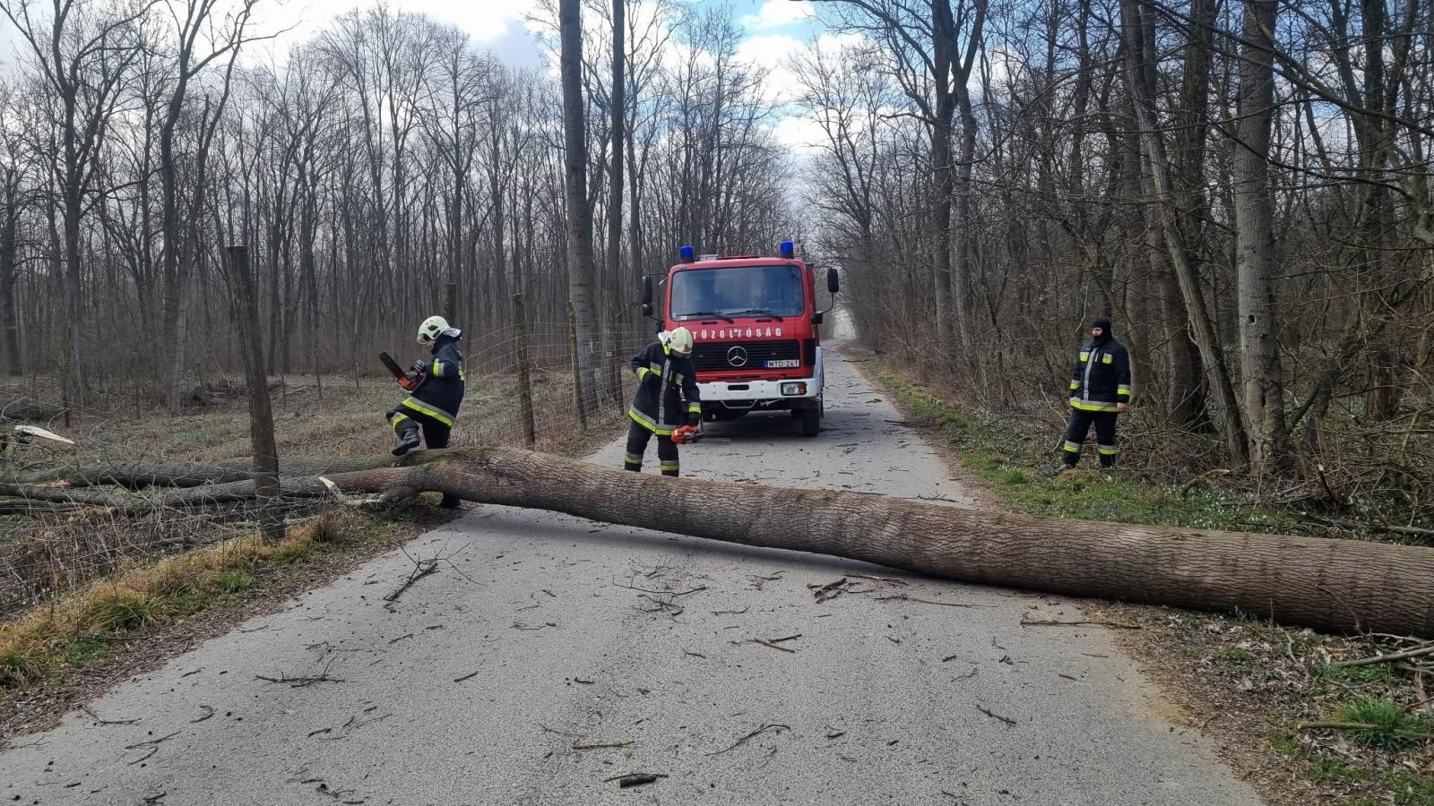  A szélviharok és következményeik súlyos baleseteket is okozhatnak;A szél által kidöntött fák nem kímélik javainkat sem, miközben hiányuk is fájó