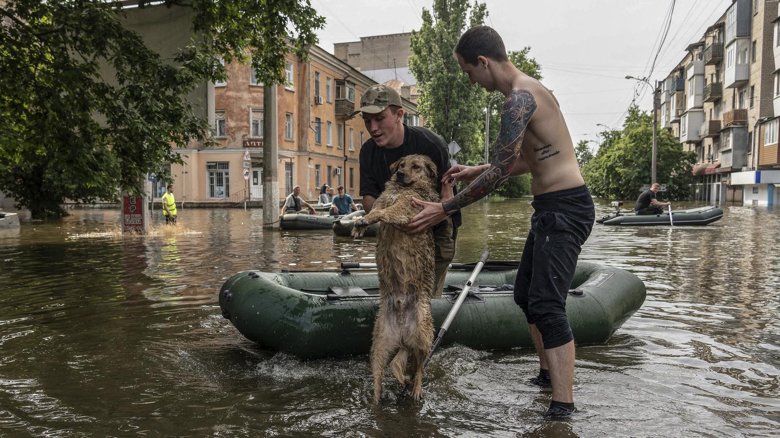 Az árhullám hosszú távon is borzalmas következményekkel jár