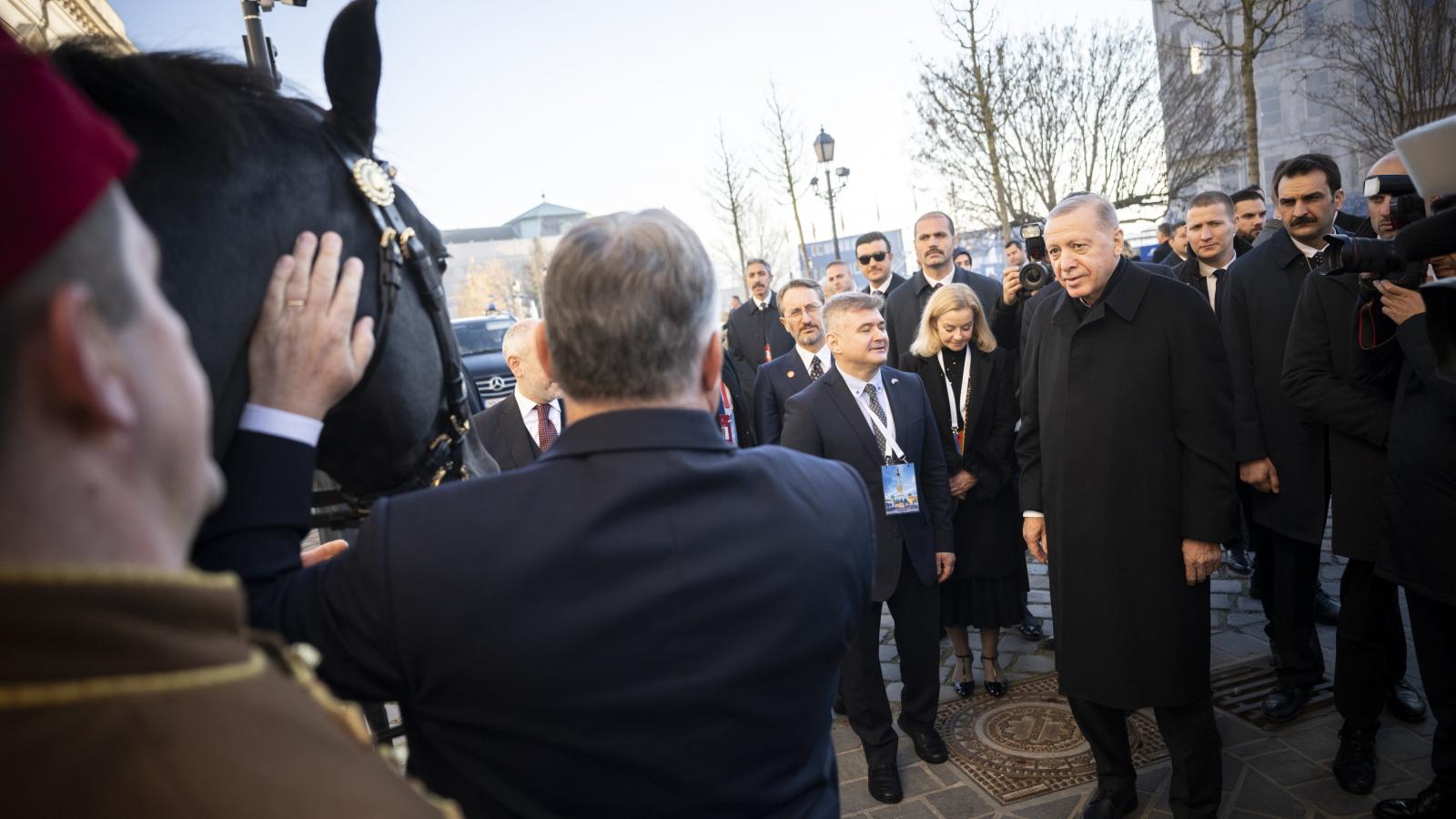 Orbán Viktor miniszterelnök egy nóniusz lovat ajándékoz Recep Tayyip Erdogan török elnöknek