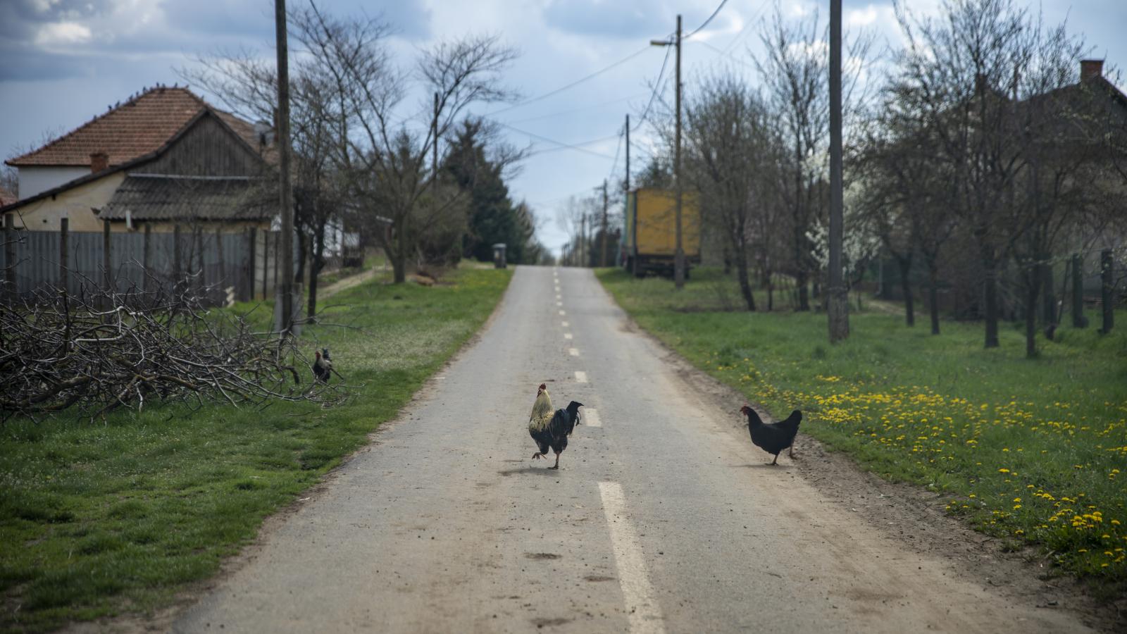 Választási csatatért lehet Pusztaottlaka