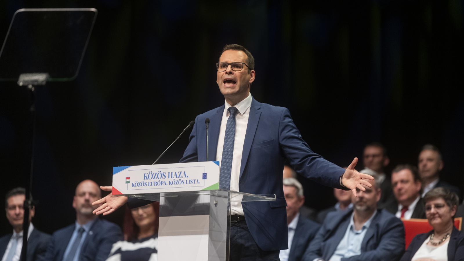 Molnár Csaba,  a Demokratikus Koalíció ügyvezető alelnöke