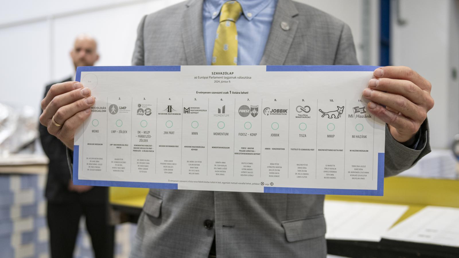 Sokszereplős verseny. Az európai parlamenti választás szavazólapja
a 11 listával