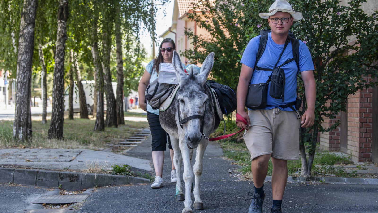 „Én mutatom az irányt, a szamár pedig adja a ritmust, vagyis azt, hogy mikor állunk meg és »mennyivel« megyünk”