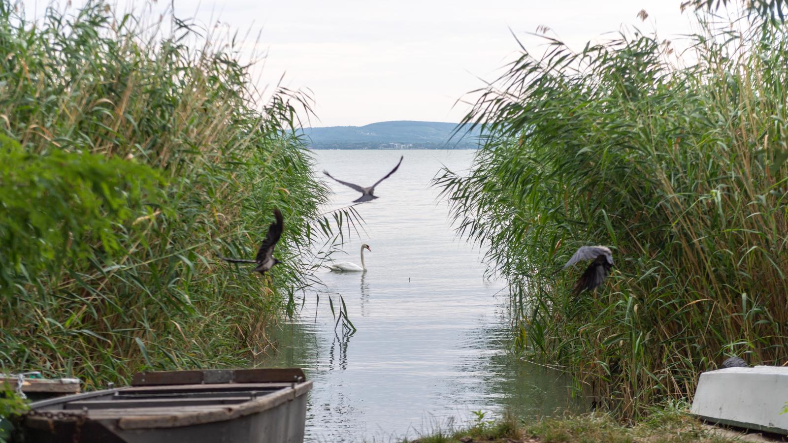 Jogi viták után visszatér a Balaton az önkormányzathoz