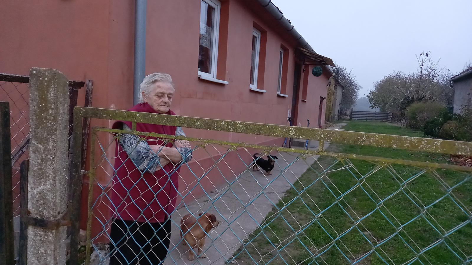 Kozma Lászlóné a németországi keresetéből tudta felújítani a házát