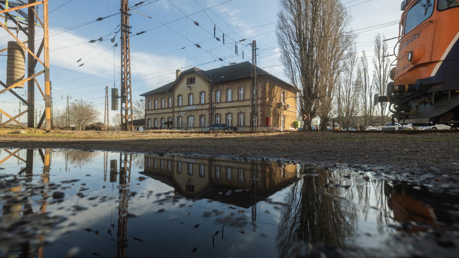 A 130 hektáros terület megtisztítására kiírt tendert fél év alatt sem sikerült lezárni