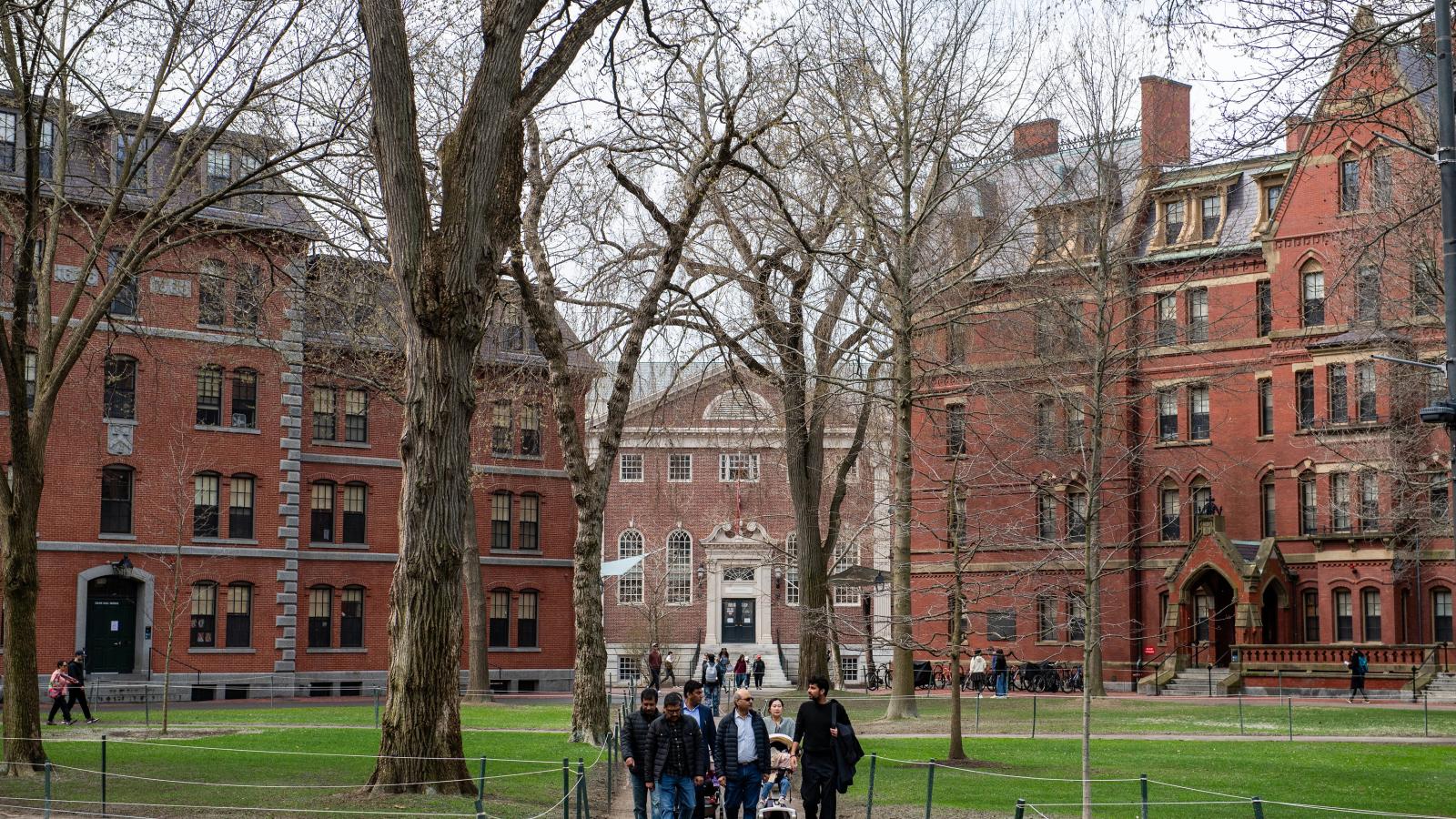 A Harvard hallgatóinak a negyede külföldről érkezik az USA-ba