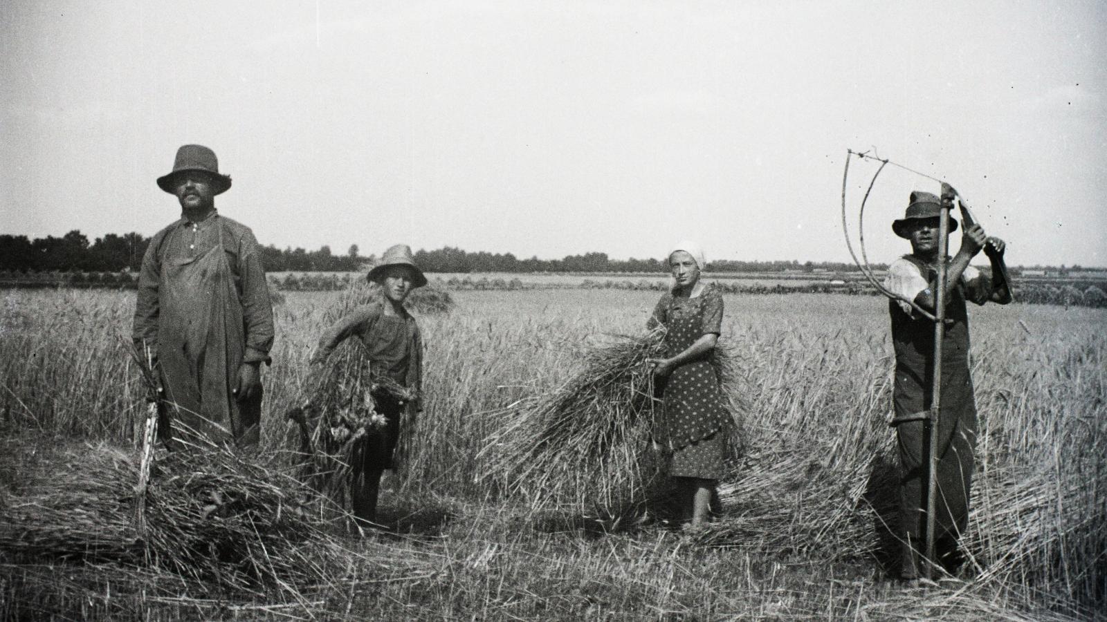 Aratás (1941)