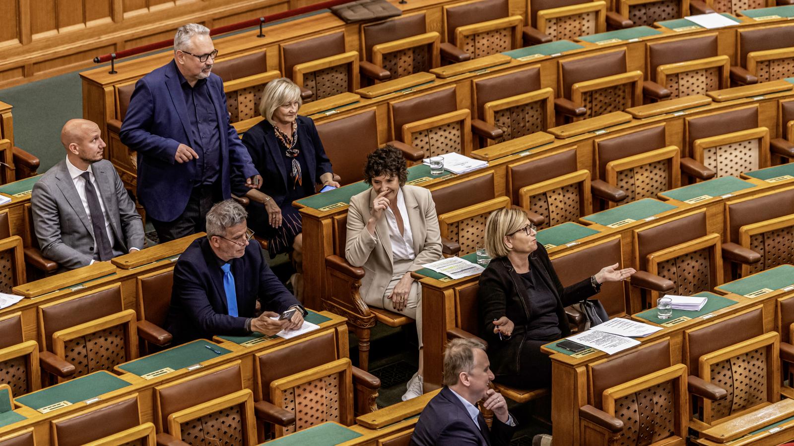A Demokratikus Koalíció parlamenti frakciója május 20-án 