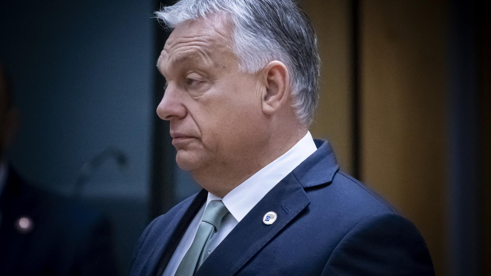 Korábbi felvétel 
