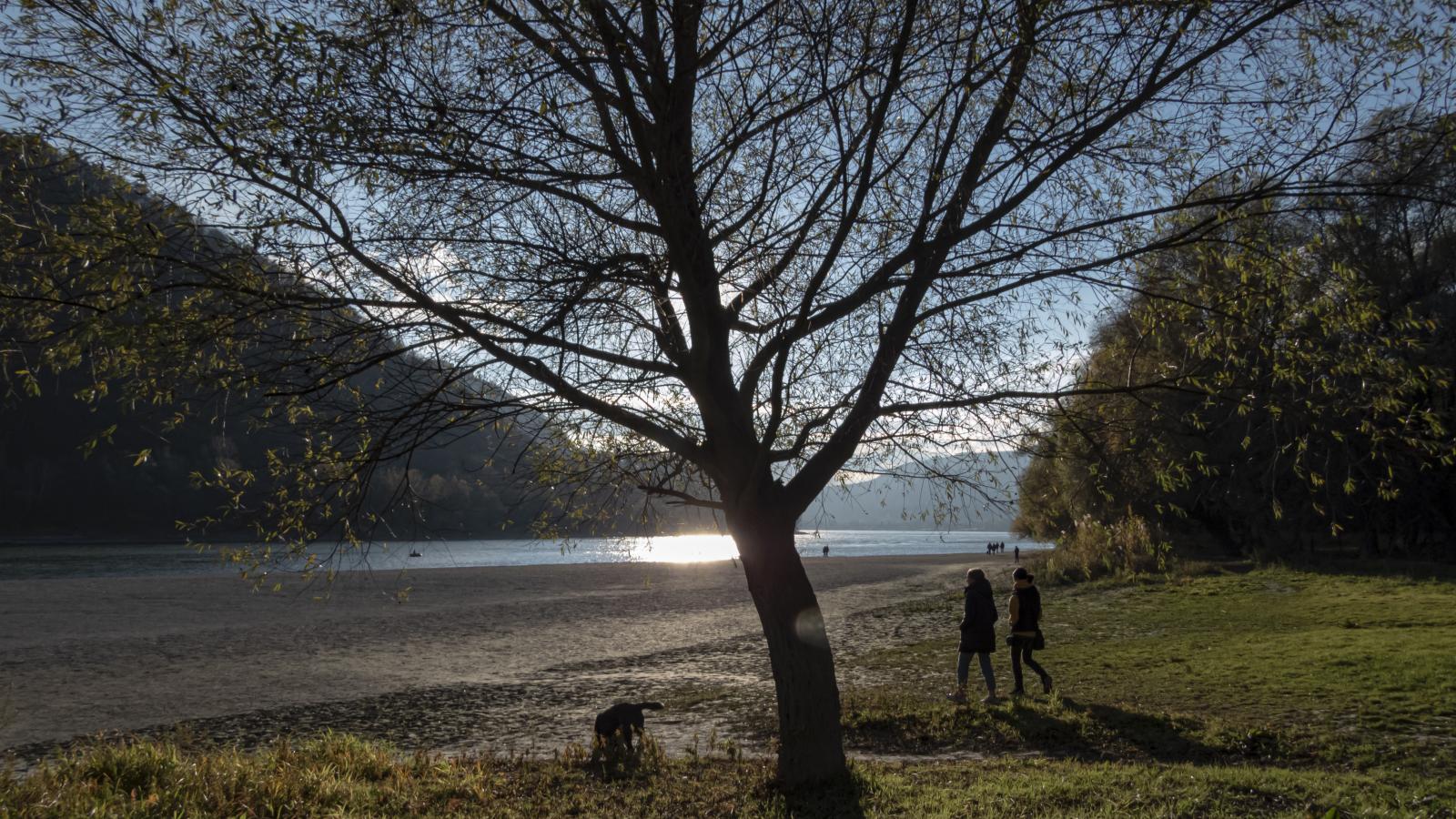 Képünk illusztráció