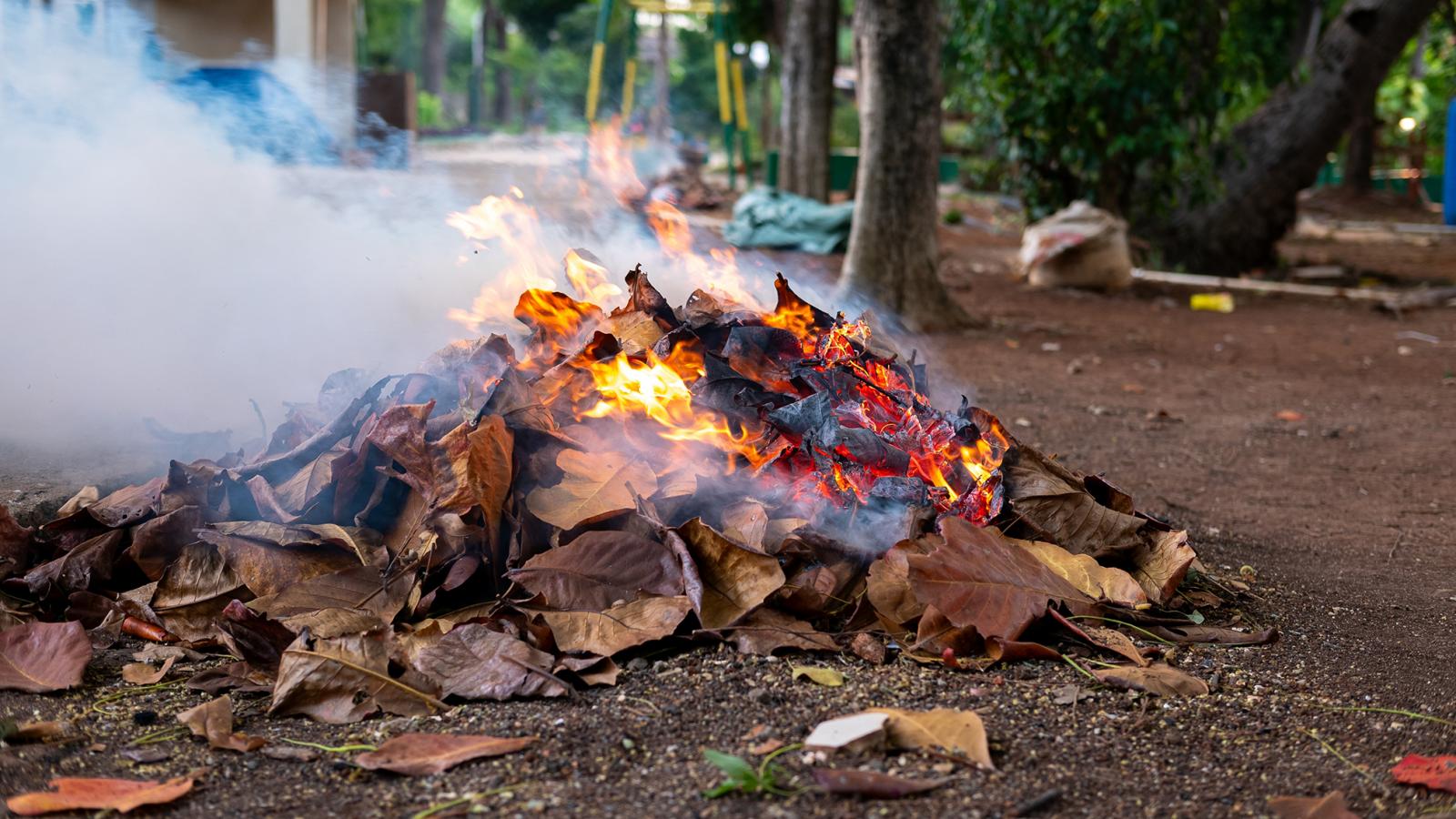Légutakra és az immunrendszerünkre veszélyes és káros az avarégetés