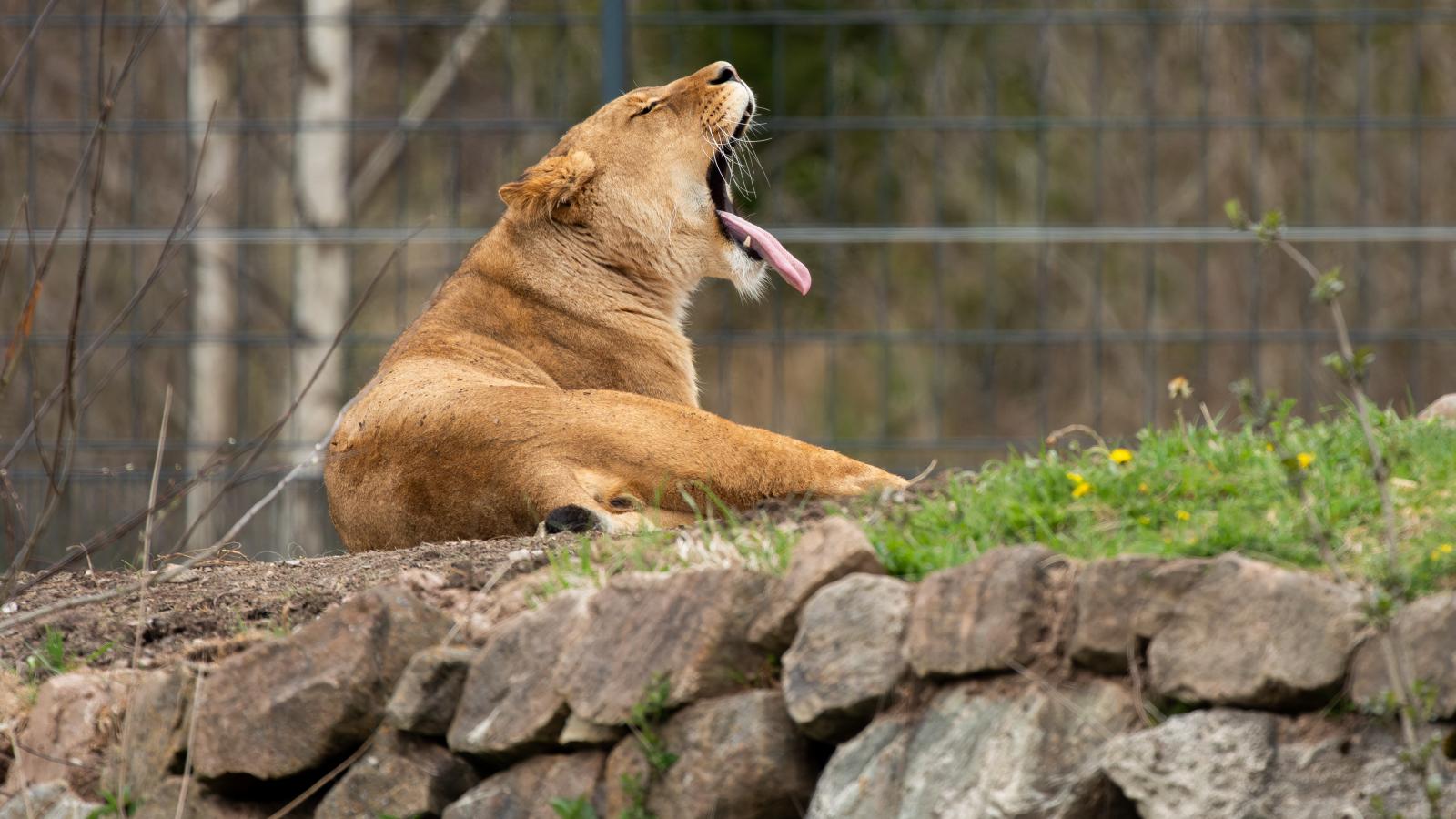 Képünk illusztráció