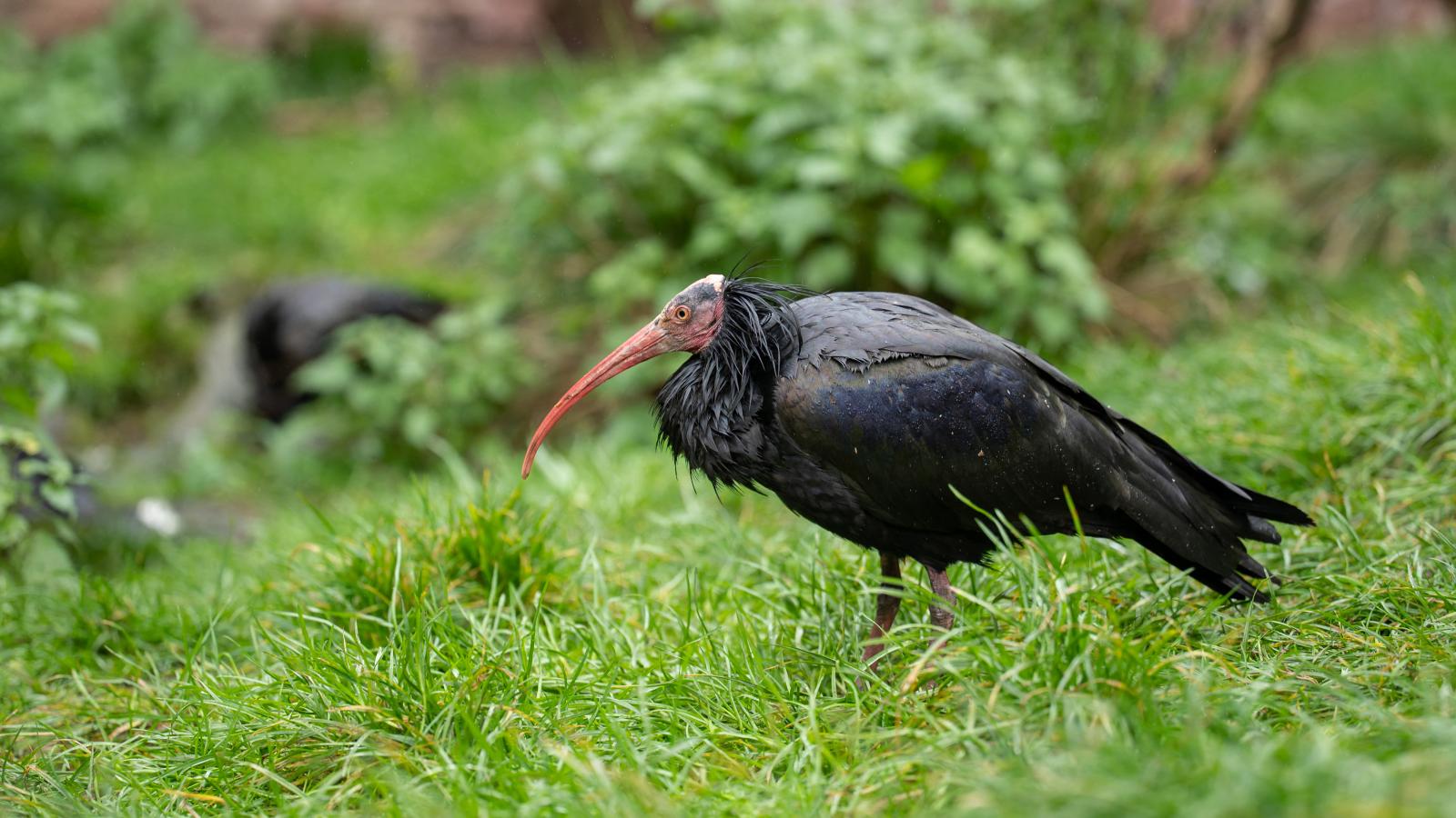 Képünk illusztráció