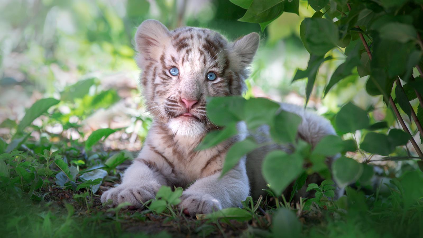 Képünk illusztráció 