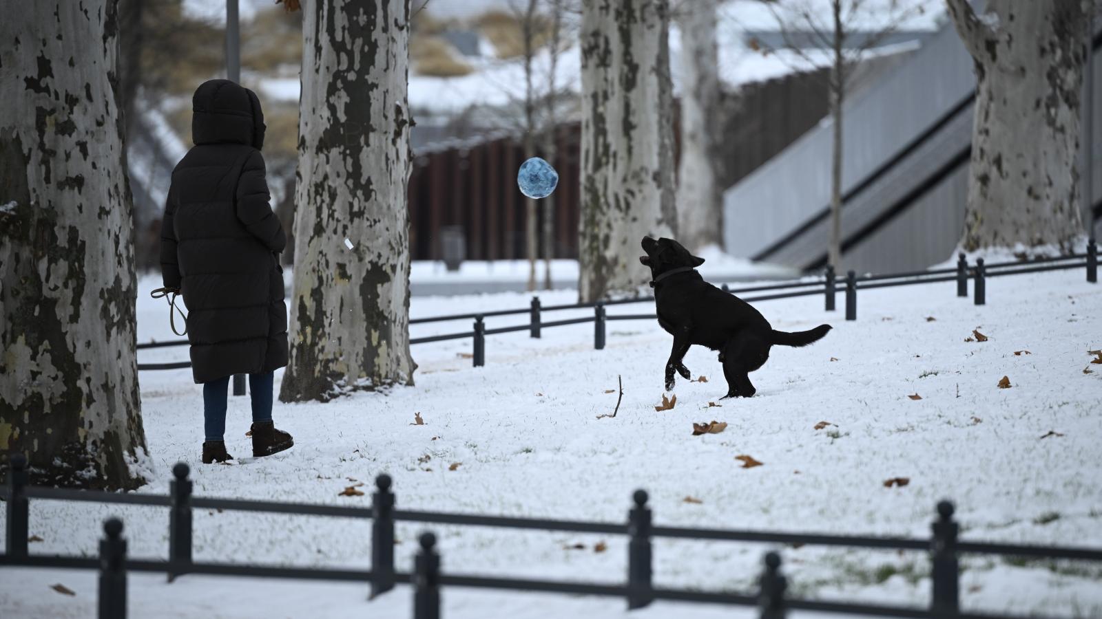 A havas Városliget 2026. január 1-jén