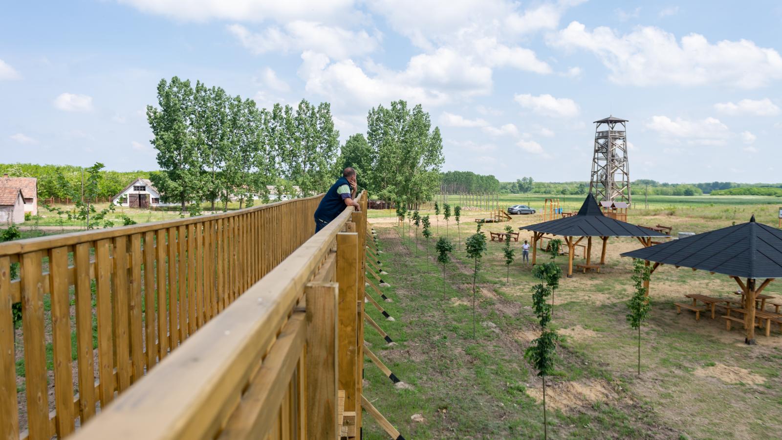 Nyírmártonfalvi lombkorona sétány