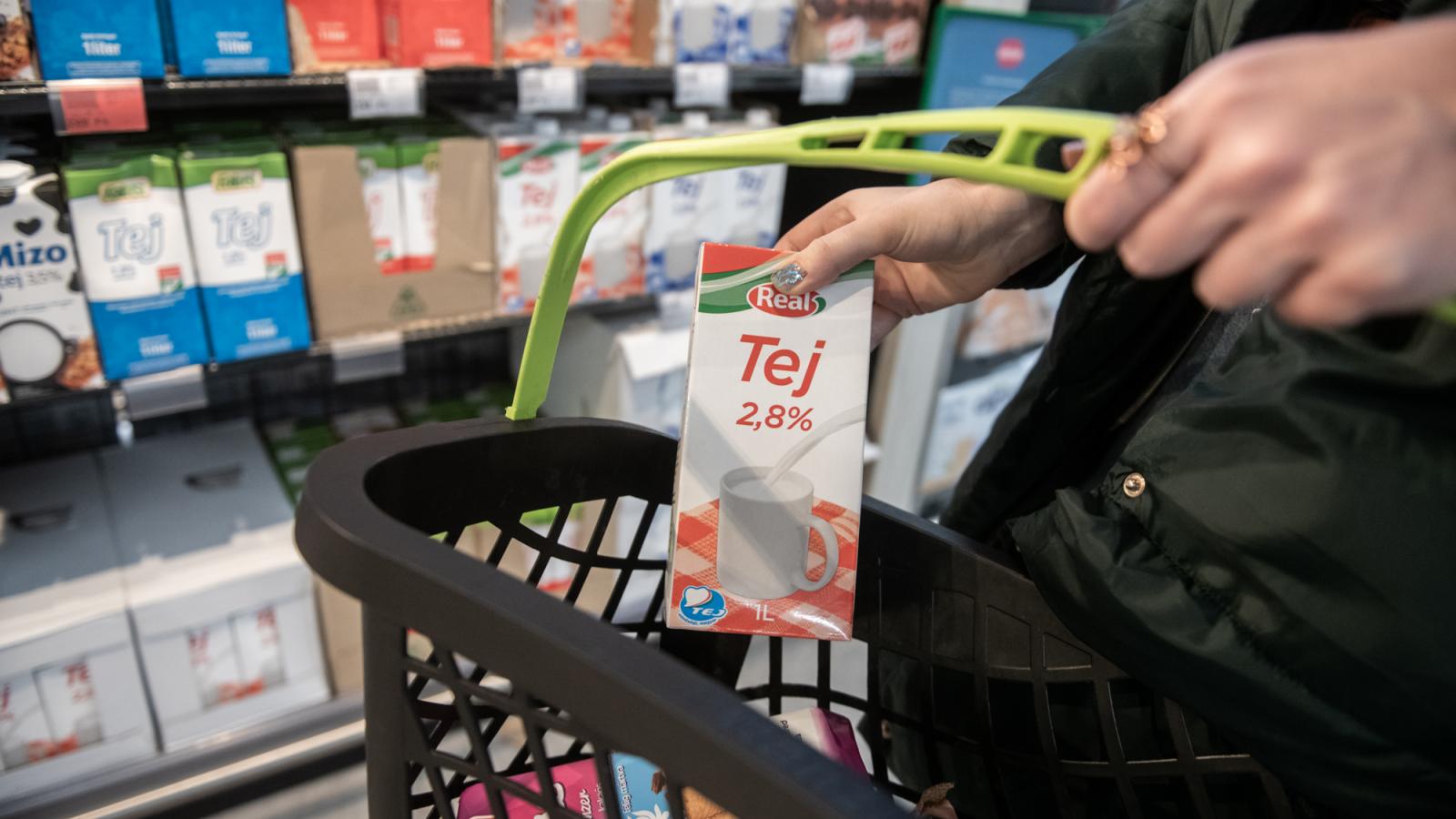 Nem fenékig tejföl. Bezuhantak a termelői árak