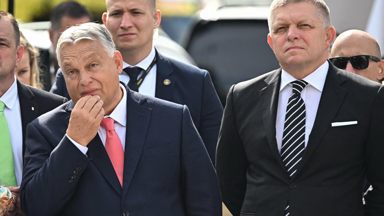 Képünk illusztráció 