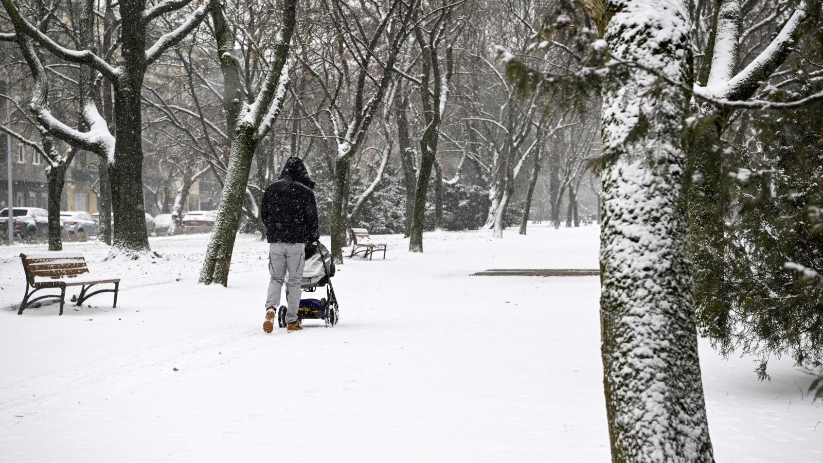 Babakocsit tol egy férfi a behavazott Vérmezőn 2026. február 3-án
