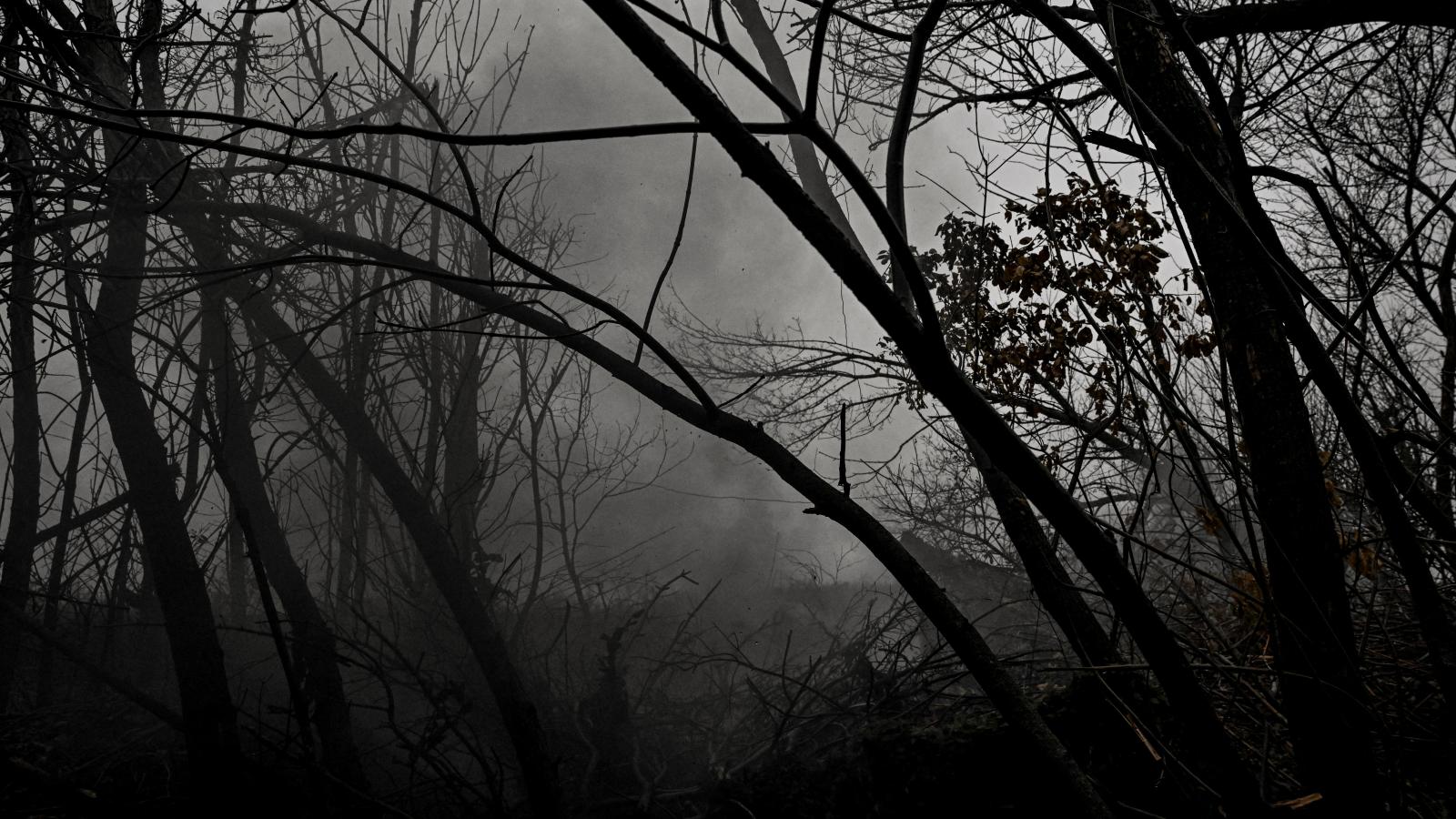 Füst terjed a fák között, Pokrovszk irányban, a Donyecki régióban, Ukrajnában, 2025. november 20-án.