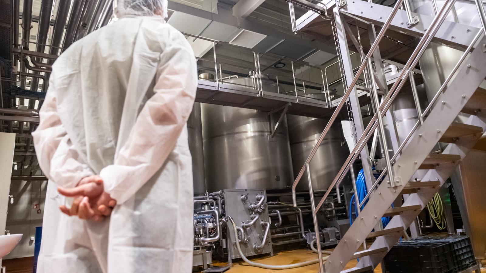 Az MI egyre inkább kiváltja azokat a feladatokat, amelyek lehetőséget adtak a fiataloknak a gyakorlásra, az időseknek a tapasztalat átadására