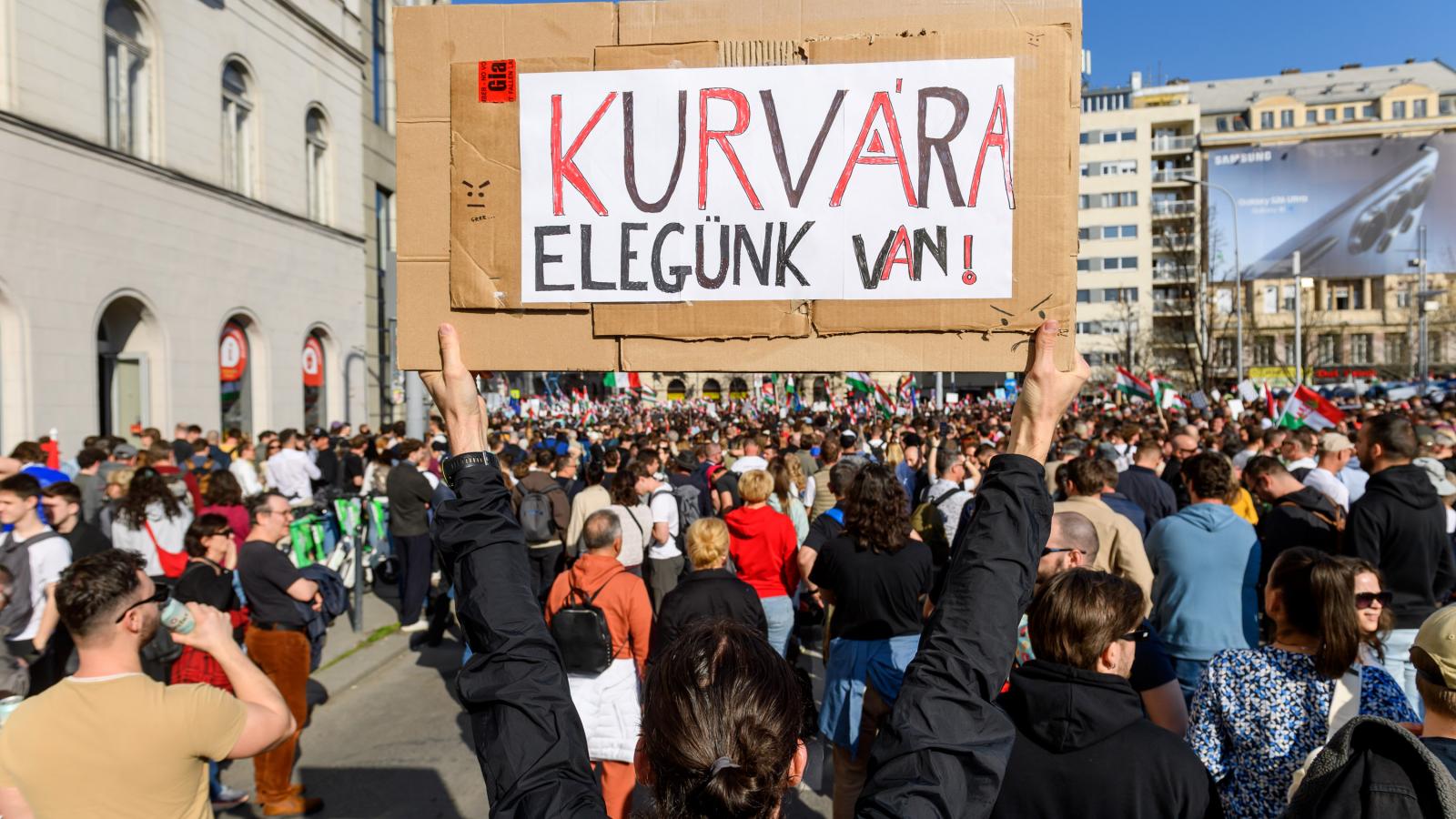 Nemzeti Menet - Tisza Párt