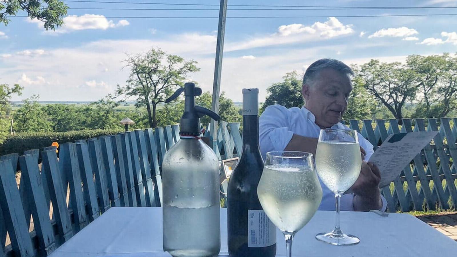  Mr LDL Koleszterin elvtárs fröccsözés közben – nem kellett volna még egyet inni vele