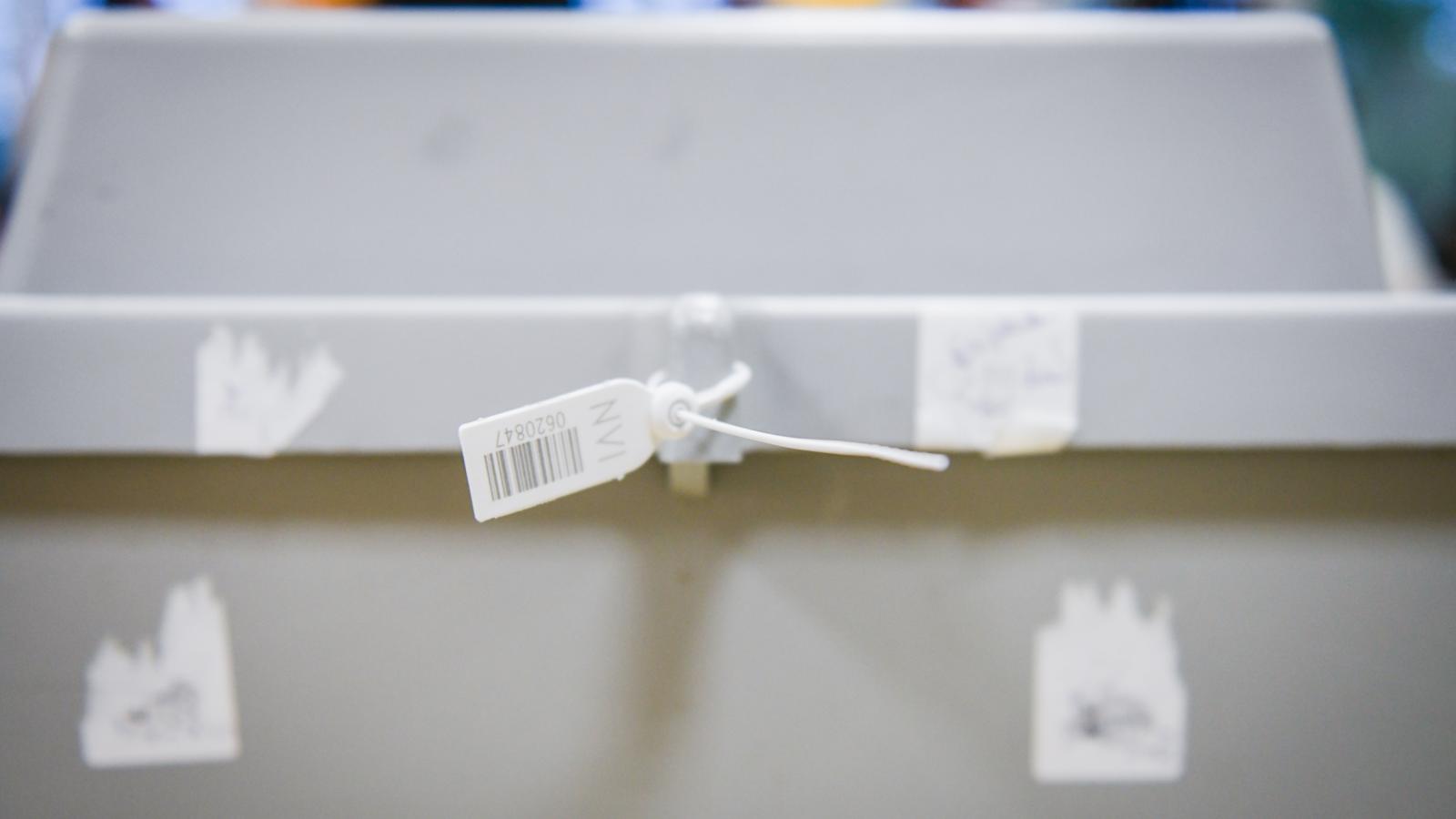 Képünk illusztráció