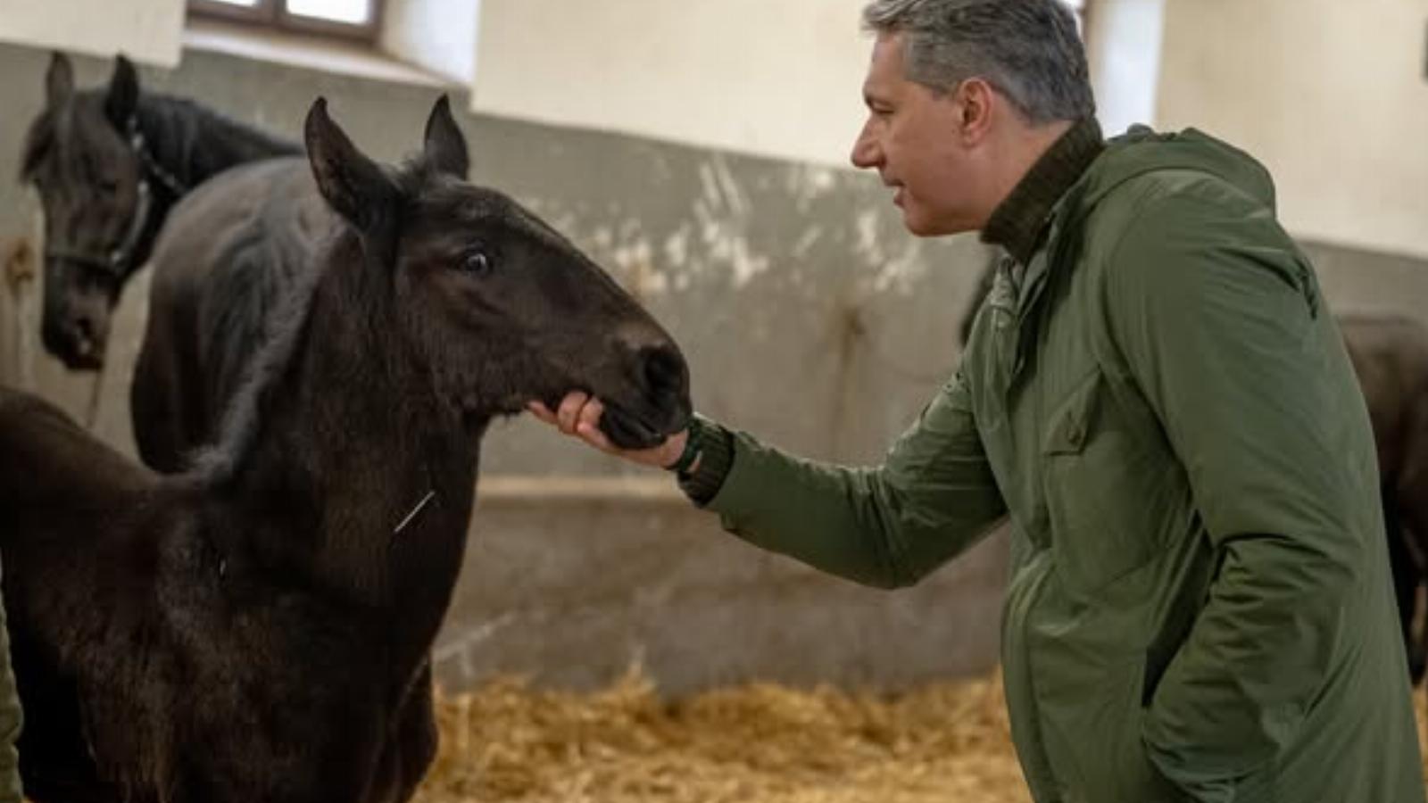 Lázár János a mezőhegyesi Nemzeti Ménesbirtokon - Korábbi felvétel