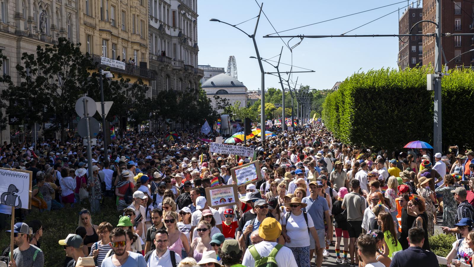 A 2025-ös vonulás