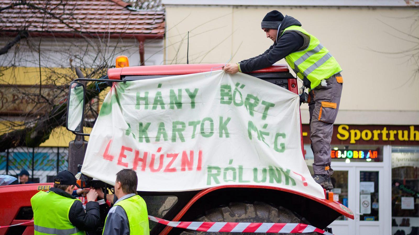 MTI Fotó: Czeglédi Zsolt