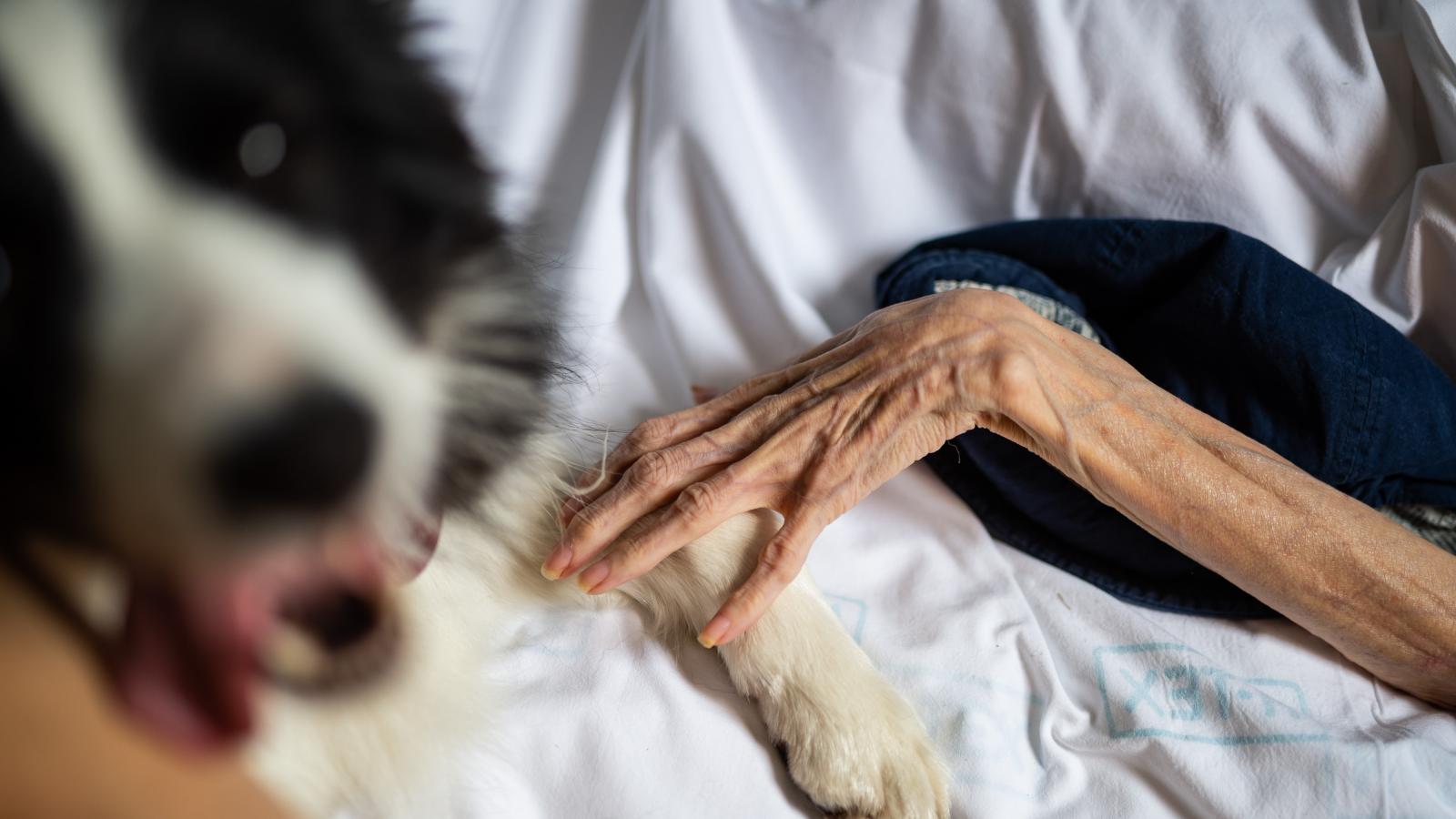 A szakirodalmi becslések alapján naponta átlagosan 140 ember hal meg olyan állapotban, amely esetében a magyar szabályozás otthoni hospice-ellátás (profi szakmai csapat segítsége mellett) a családjukkal tölthetnék az utolsó pillanatokat is