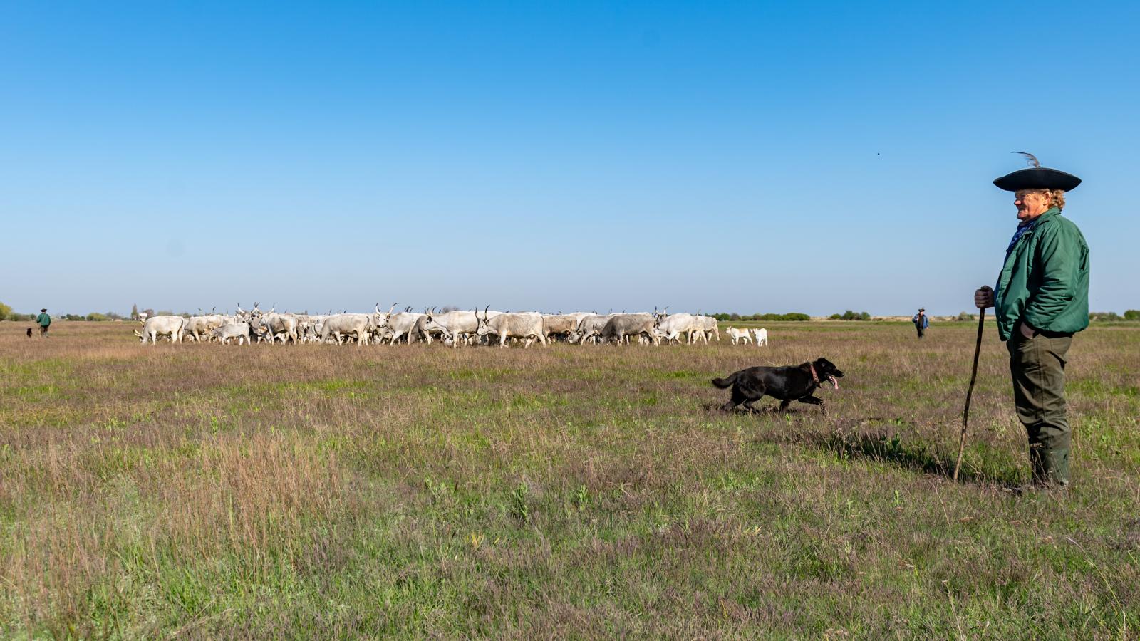 Hortobágyi Nemzeti Park