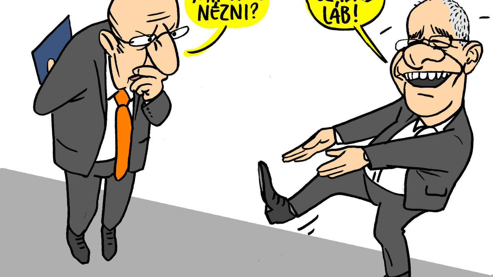 Kósa a Házban