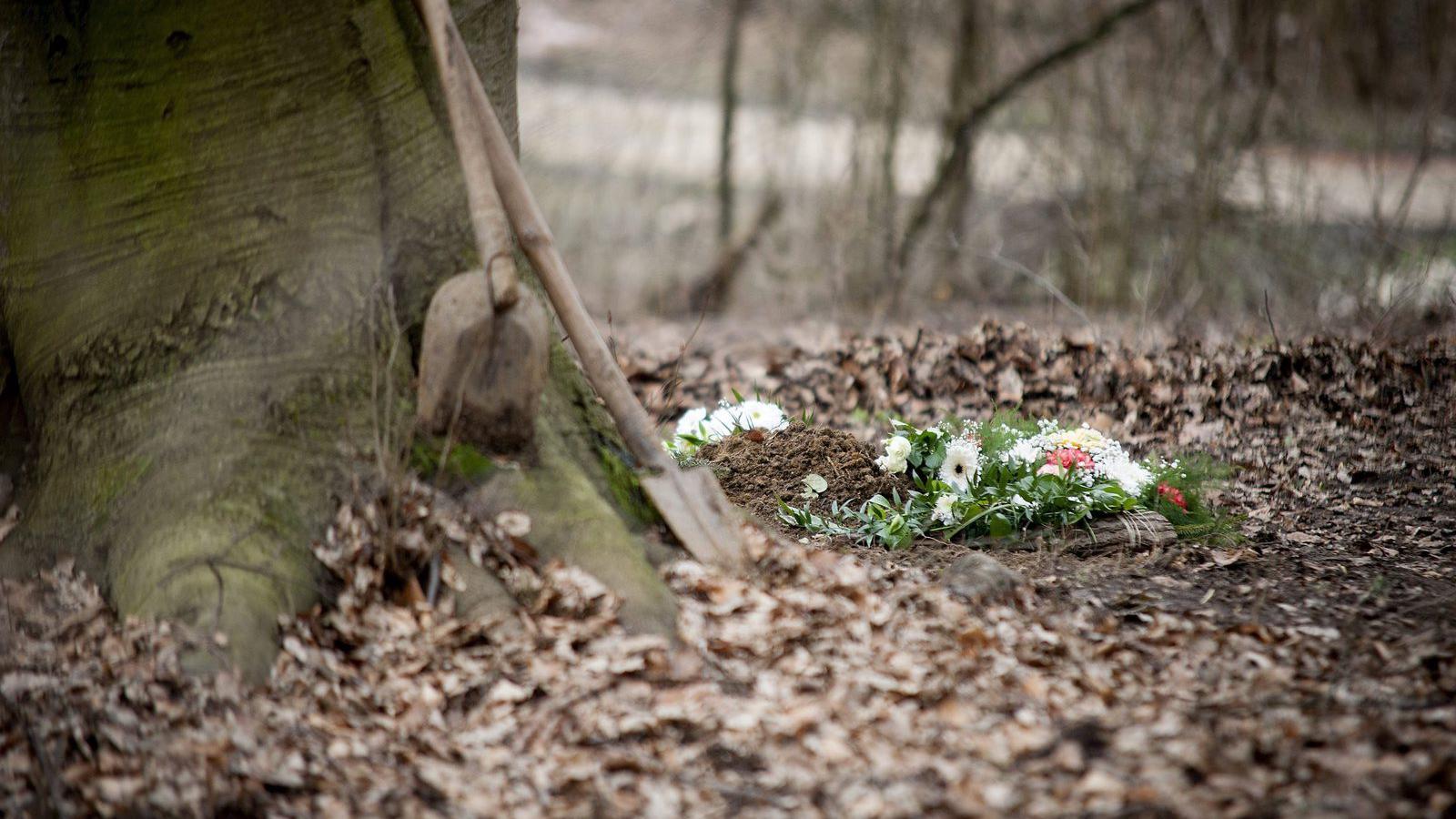 MTI Fotó: Krizsán Csaba