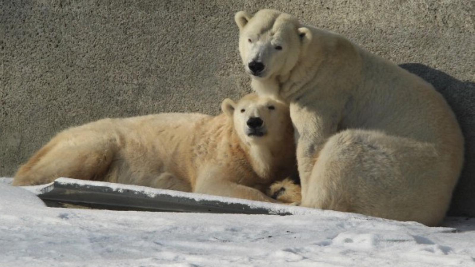 Fotó: Sean Gallup, Getty Images.