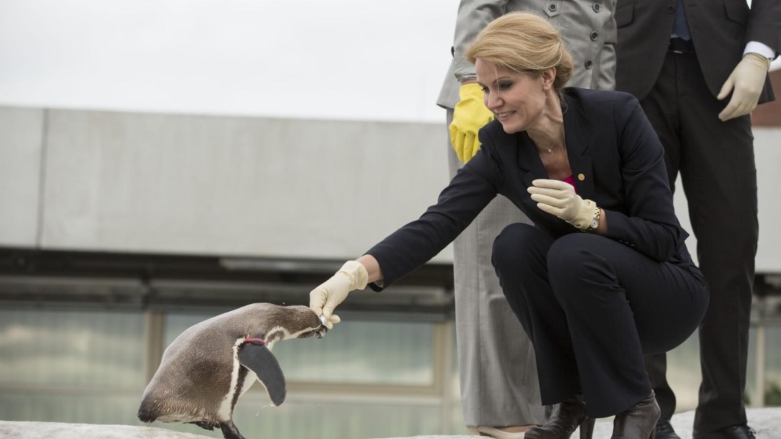 Helle Thorning-Schmidtet megkedvelték az emberek FOTÓ: EUROPRESS/GETTY IMAGES