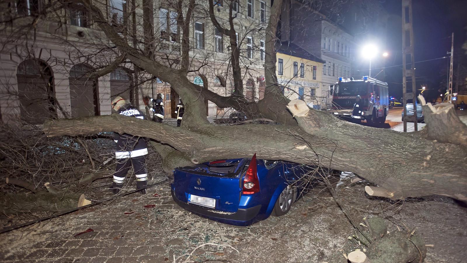 Tűzoltók dolgoznak Budapesten, a VIII. kerületi Dobozi utcában, ahol a viharos erejű szél kidöntött egy fát, amely parkoló autók