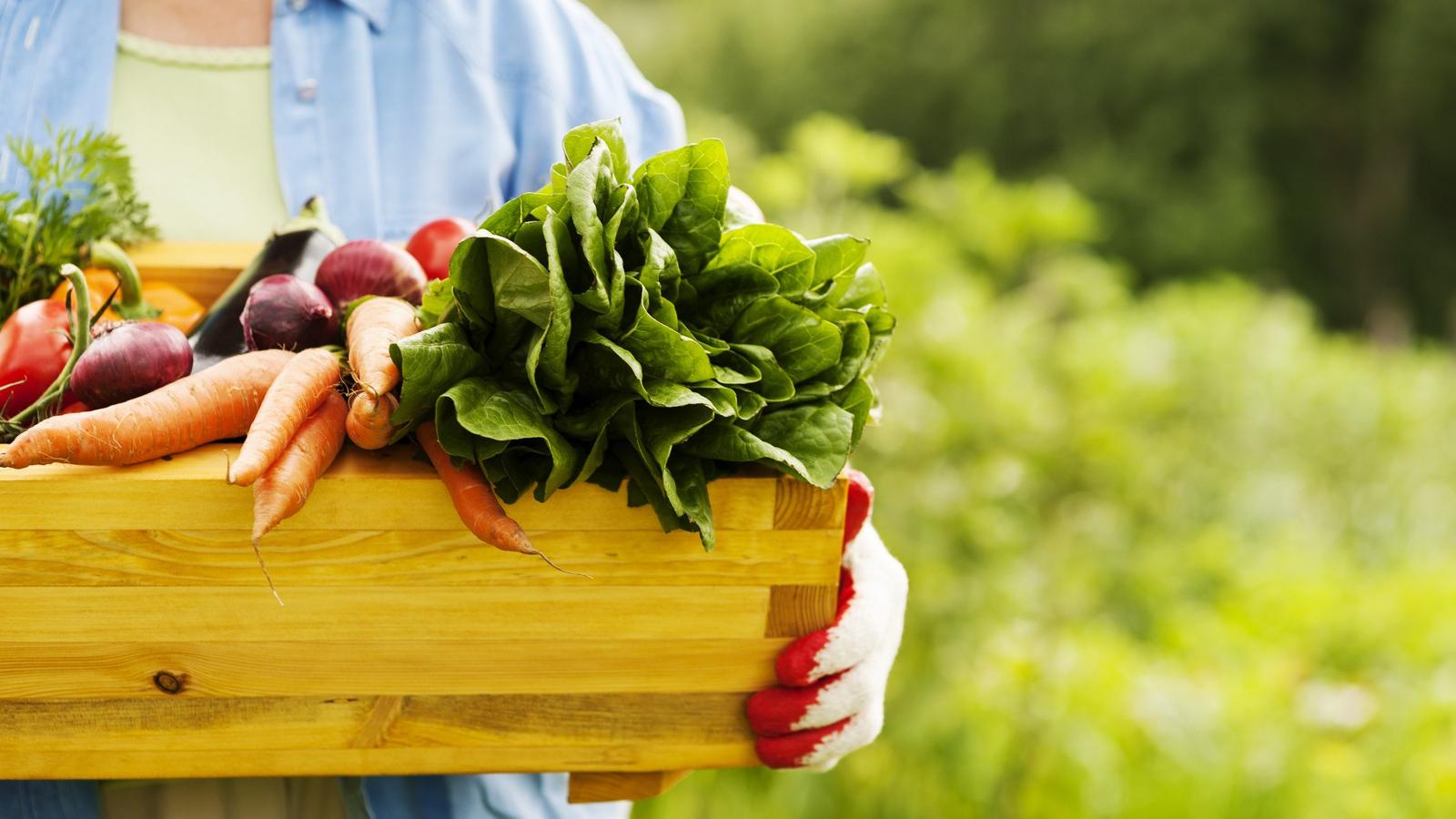 A vegyszermentességet igazolni kell FOTÓ: EUROPRESS/GETTY IMAGES/ THINKSTOCKS