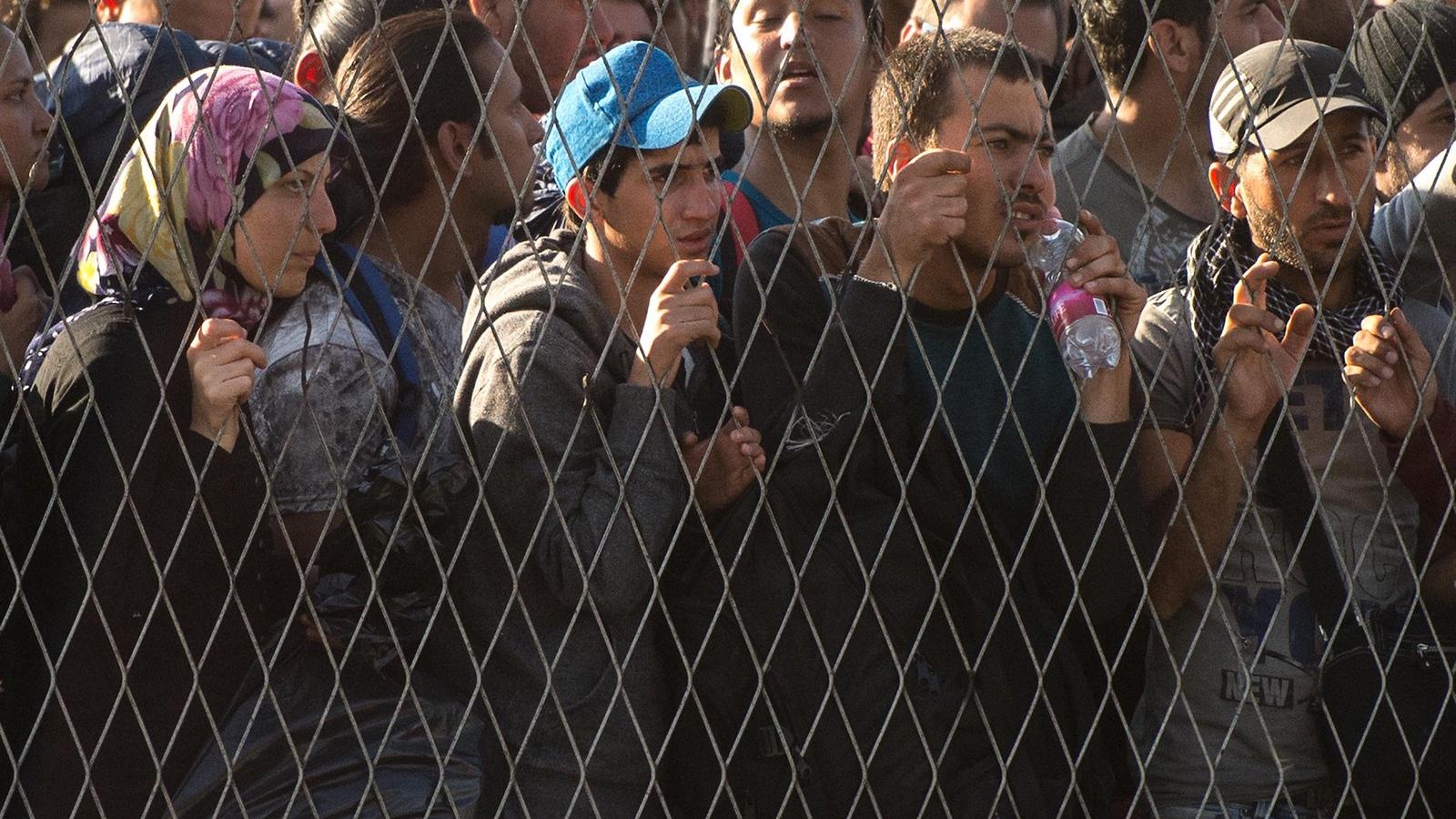 Szerbiából érkezett menekültek a horvátországi Opatovacnál 2015.09.22-én. a Fotó: David Ramos/Getty Images 